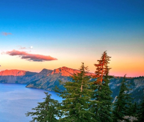 粉象生活怎么返现的