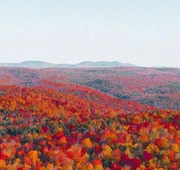 河南运营粉象生活网站