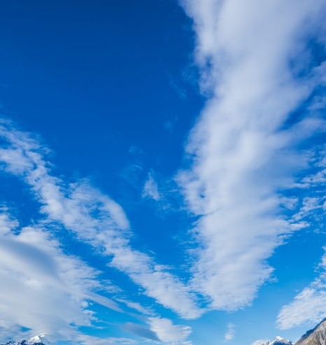 河南高端粉象生活