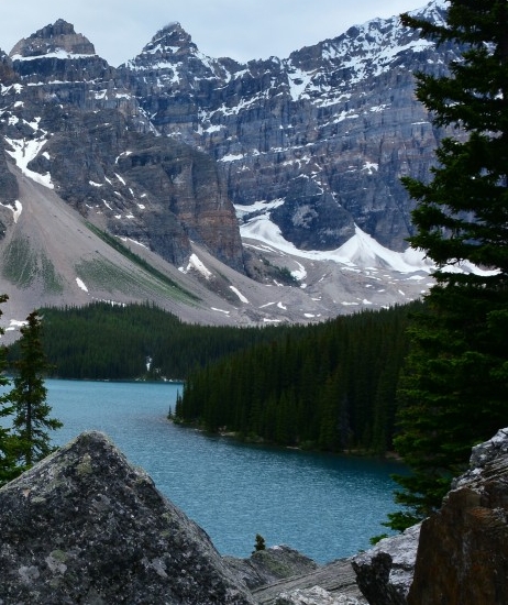 粉象生活下载app