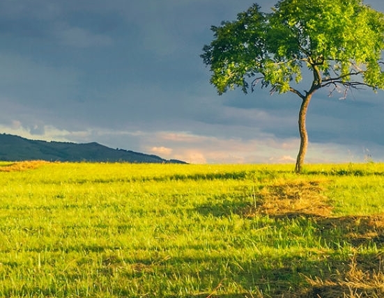 粉象生活怎么赚钱