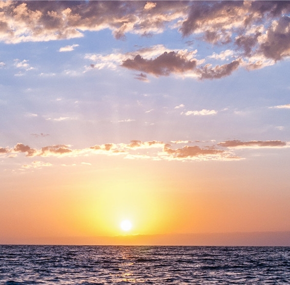 粉象生活送红包能提现吗