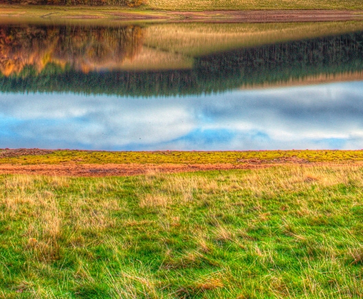 粉象生活是什么?