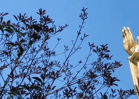 滴滴打车免费下载