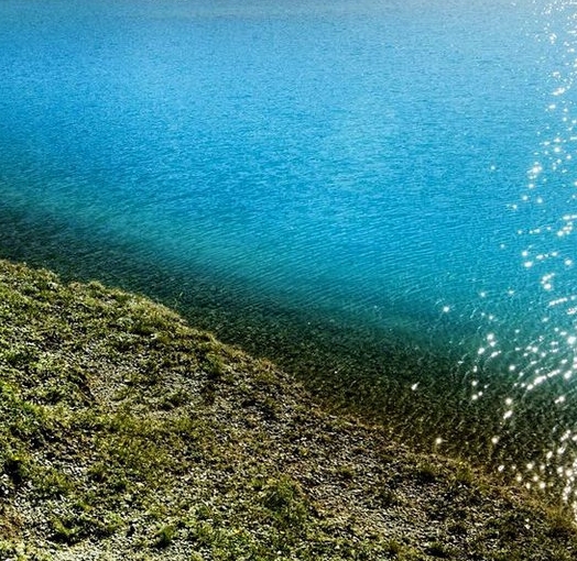 粉象生活怎么抢单