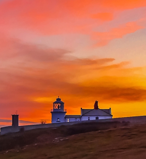 厦门粉象生活收入