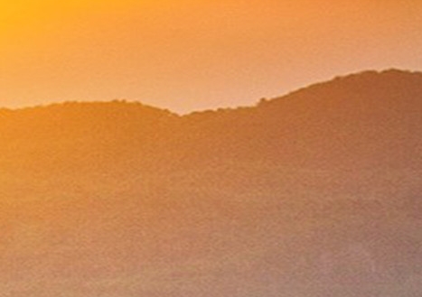 粉象生活官方邀请码jxr5jw