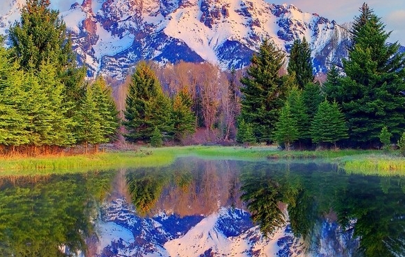 粉象生活查封资金