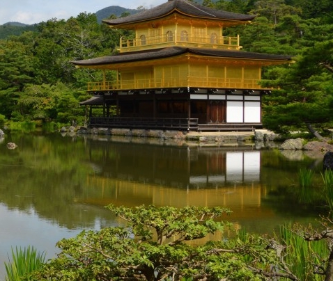 粉象生活赚钱的学习教程