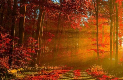 粉象生活可以送现金吗