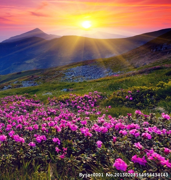 粉象生活是什么?