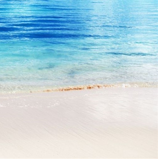 一淘和粉象生活哪个返利高