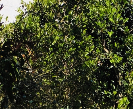 粉象生活赚钱教程