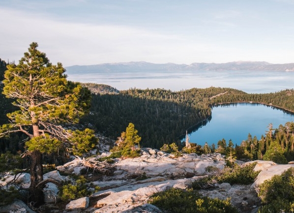 南京粉象生活图片