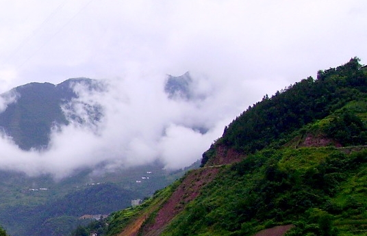 粉象生活有会员吗