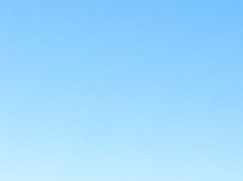 粉象生活开店条件