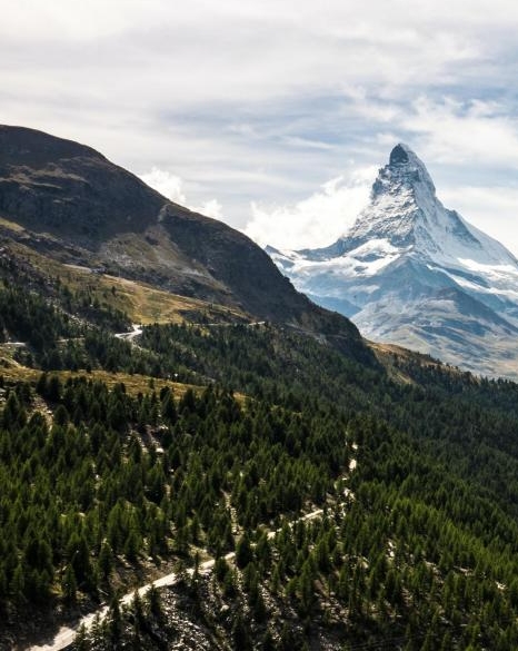 粉象生活最省钱的平台