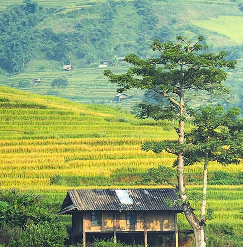 粉象生活每天有优惠吗