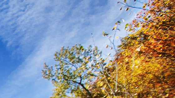 无锡粉象生活收入