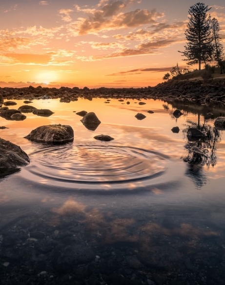 粉象生活实名认证