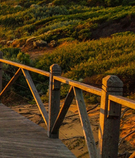 达令家和粉象对比