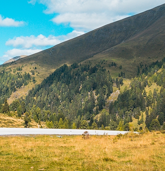 粉象生活邀请码