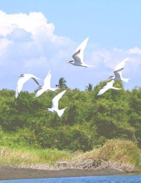 肇庆粉象生活开业