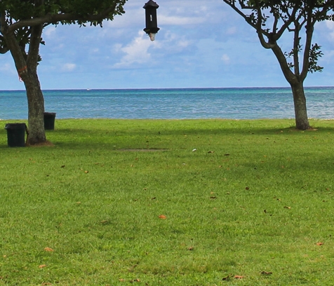 粉象生活要花钱吗粉象生活