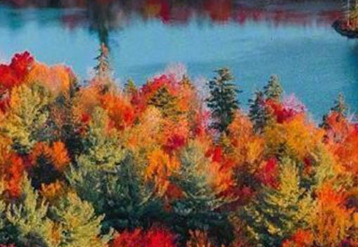 粉象生活下载app