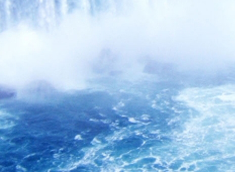 湖北创新粉象生活app