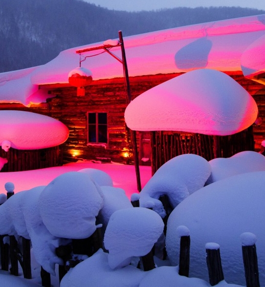 粉象生活怎么打卡