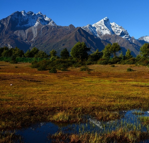 粉象普通会员拿几级佣金