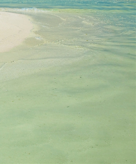 粉象生活怎么用淘宝