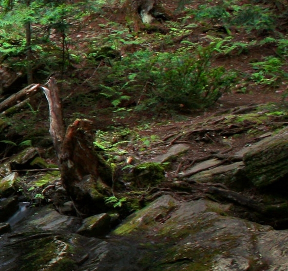 粉象生活收益怎么开通