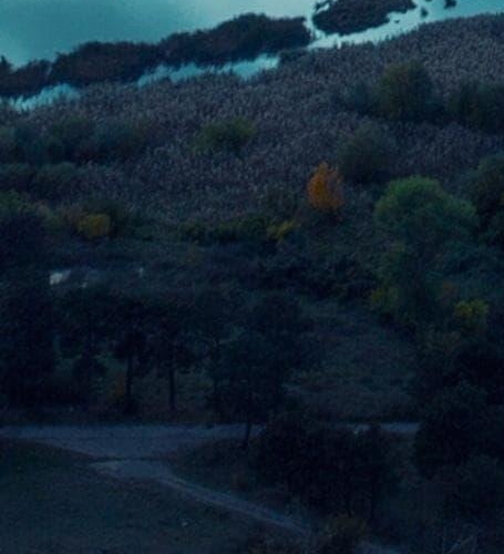 粉象生活商家端