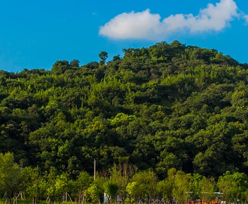 粉象生活下载app