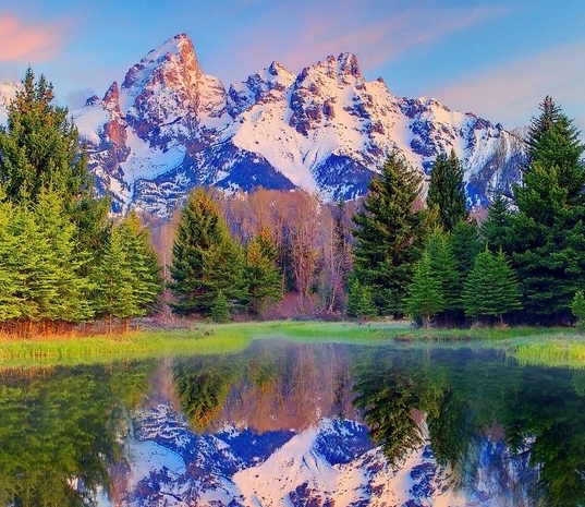 粉象生活 迅雷下载