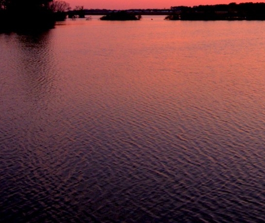 粉象生活新手怎么做