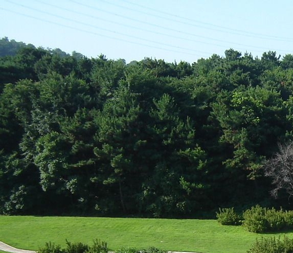 粉象生活下载app