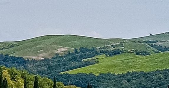 粉象生活怎么结算