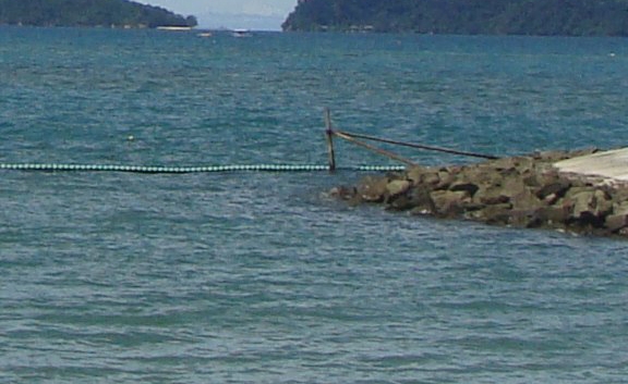 粉象生活手机版怎么发货