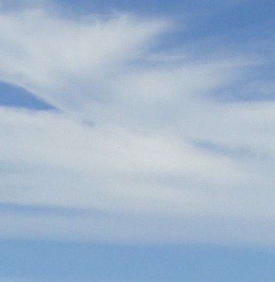 粉象生活恐怖故事