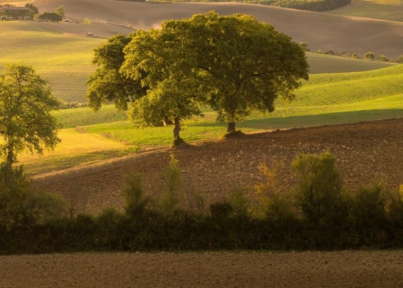 粉象生活可以赚钱吗