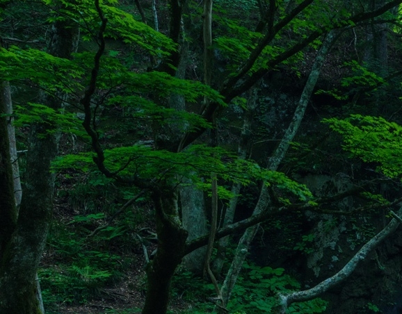 粉象生活到底靠谱吗