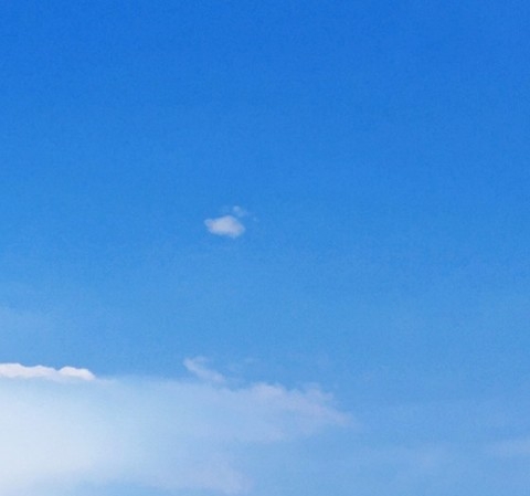 粉象生活招募人员