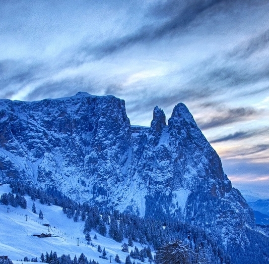 粉象生活是什么APP