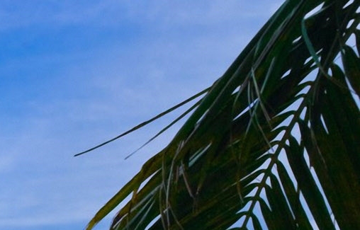 粉象生活怎么赚钱