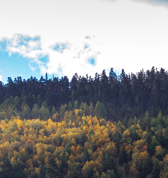 粉象生活骗局大揭秘