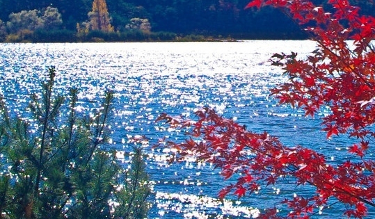 九月生活月饼价格