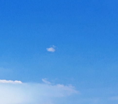 粉象生活怎么看到佣金